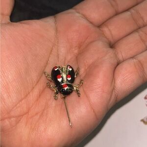 Vintage ladybug brooch
